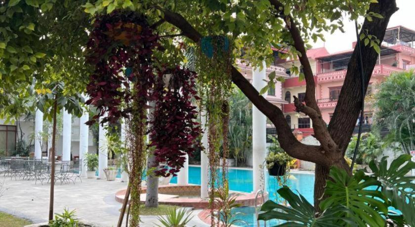 Club Denovo Hotel Butwāl Kültér fotó