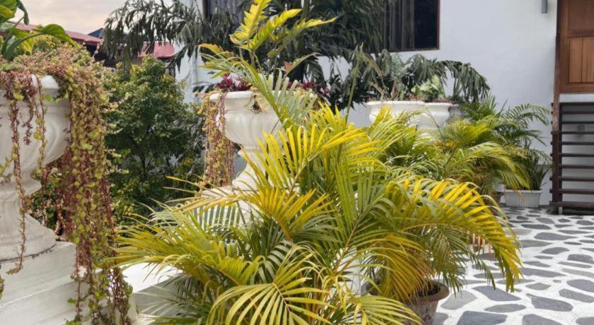 Club Denovo Hotel Butwāl Kültér fotó