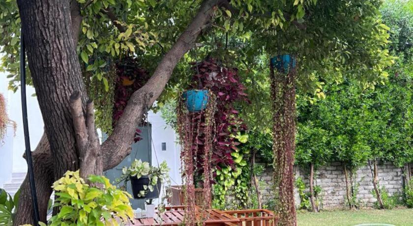 Club Denovo Hotel Butwāl Kültér fotó